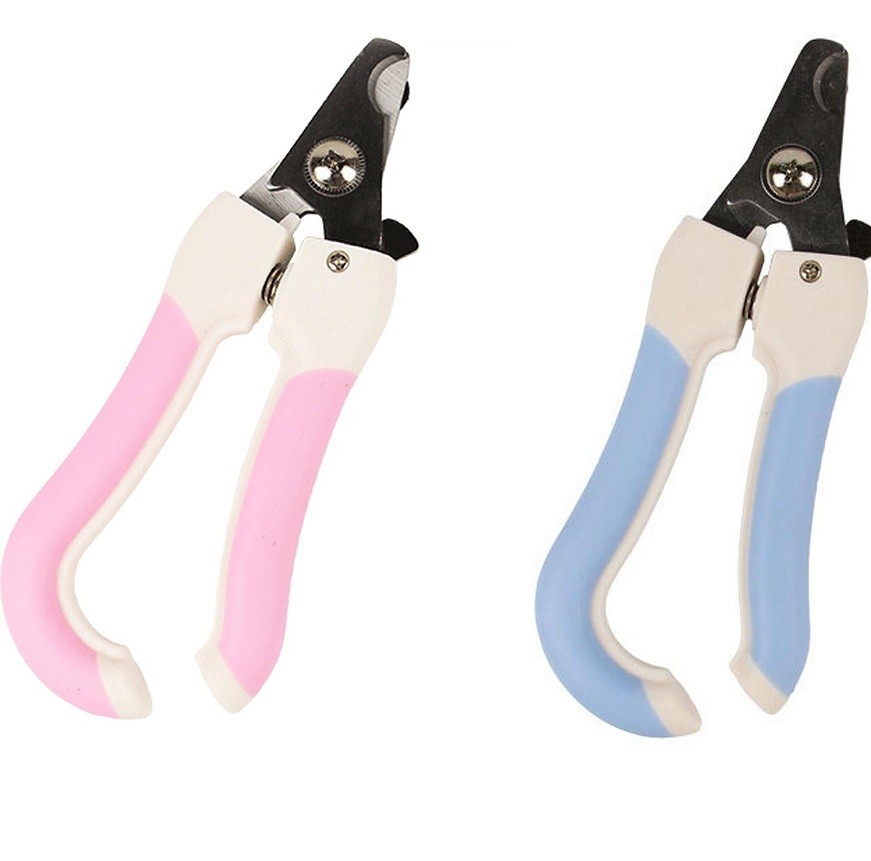 cleste-color-fancy-17-cm-m.jpg cleste color fancy 17 cm m