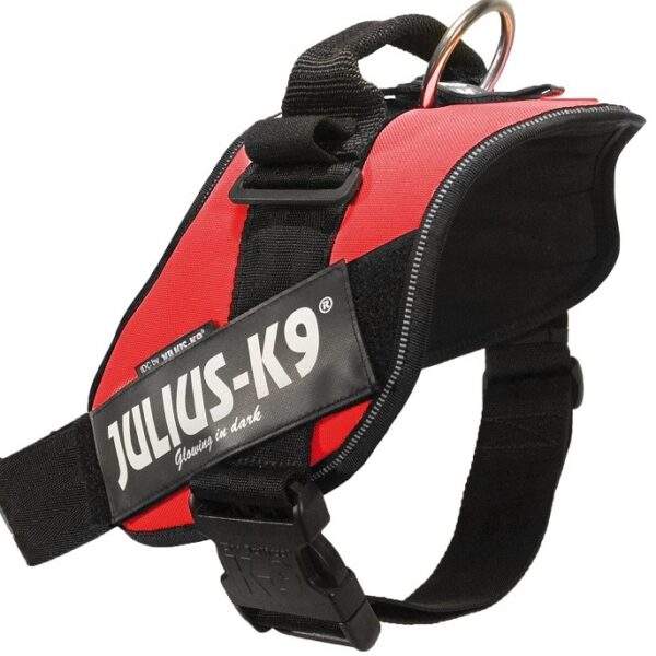 ham k9 power nr 1 2330 kg 6385 cm rosu