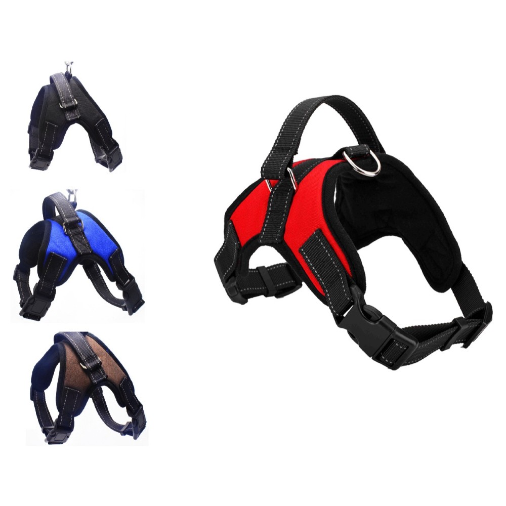 ham-power-x-trem-54-70-cm.jpg ham power x trem 54 70 cm