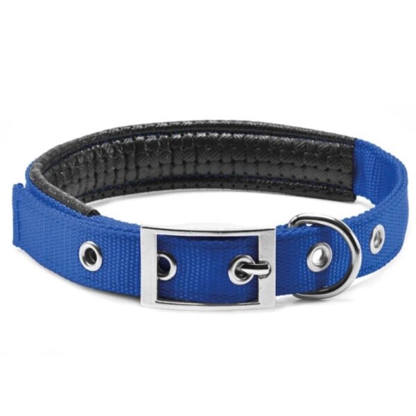 zgarda chinga captusita albastru 2045 cm