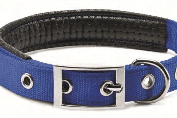 Zgarda chinga captusita albastru 25/55 cm