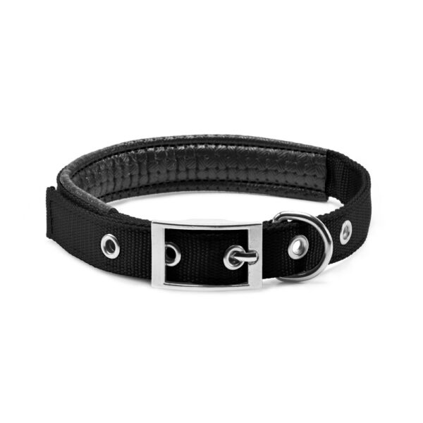 zgarda chinga captusita neagra 2045 cmsi23