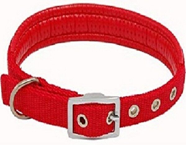 zgarda chinga captusita rosu 2055 cmsh24