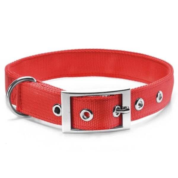 zgarda chinga dublata 2555 cm rosu