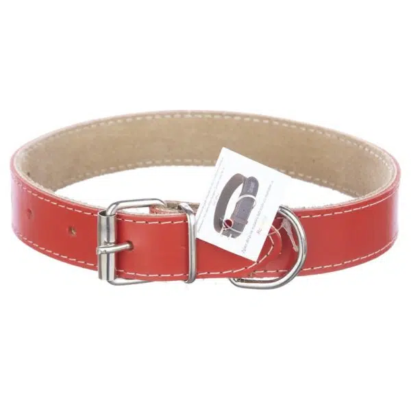 Zgarda piele 3,0 cm/60 cm nr 4  rosu