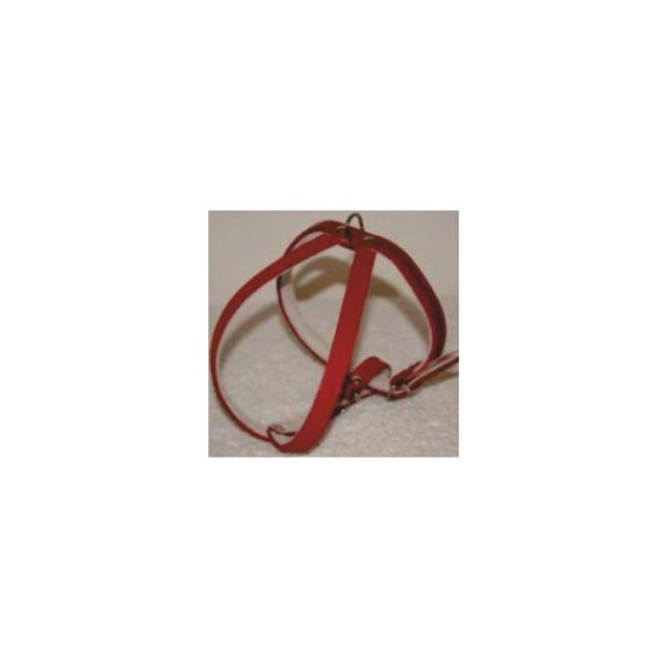 ham piele reglabil 33 43 cm nr 0 rosu