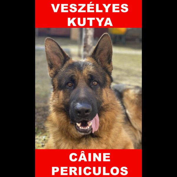 Indicator caine periculos C German Bilingvă
