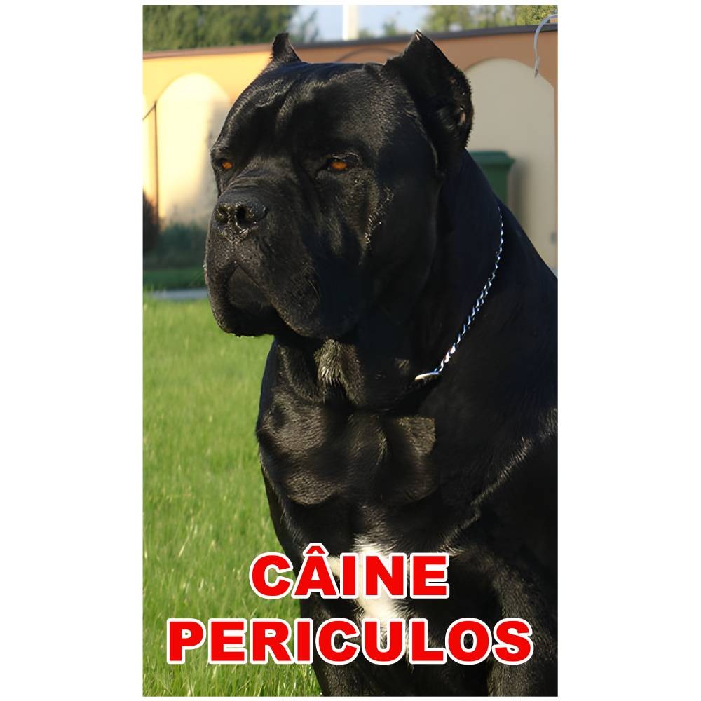 indicator-caine-periculos-cane-corso indicator caine periculos cane corso