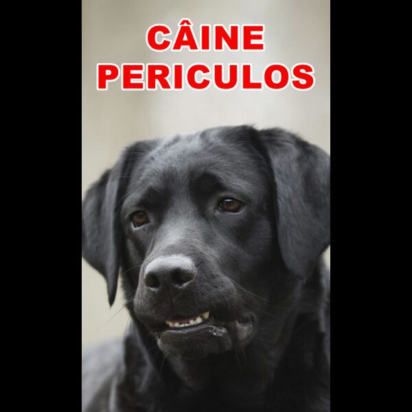 Indicator caine periculos Retriever Negru