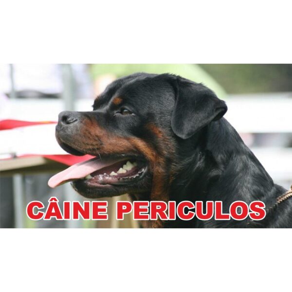indicator caine periculos rottweiler