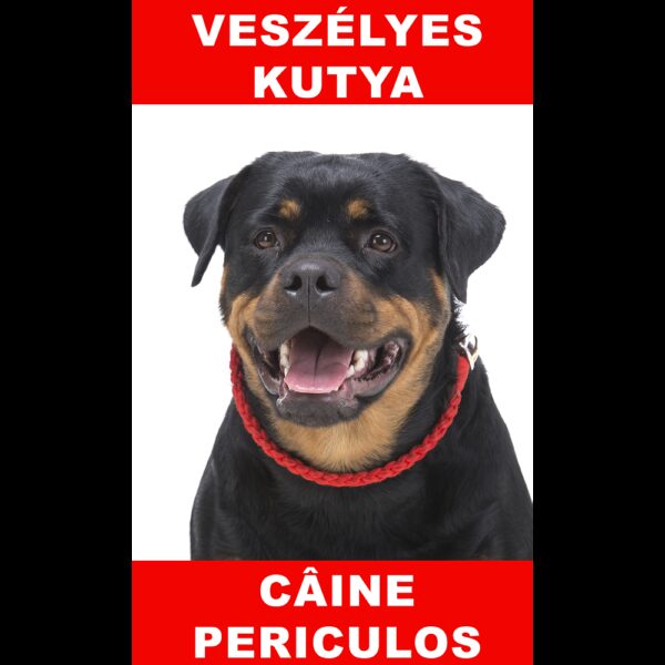 indicator caine periculos rottweiler bilingva