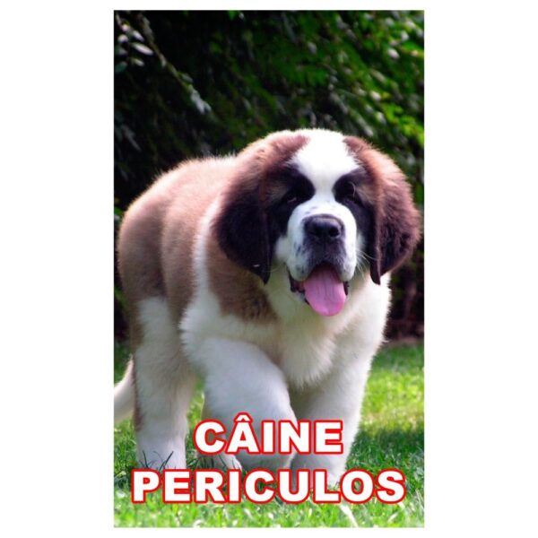 indicator caine periculos saint bernard