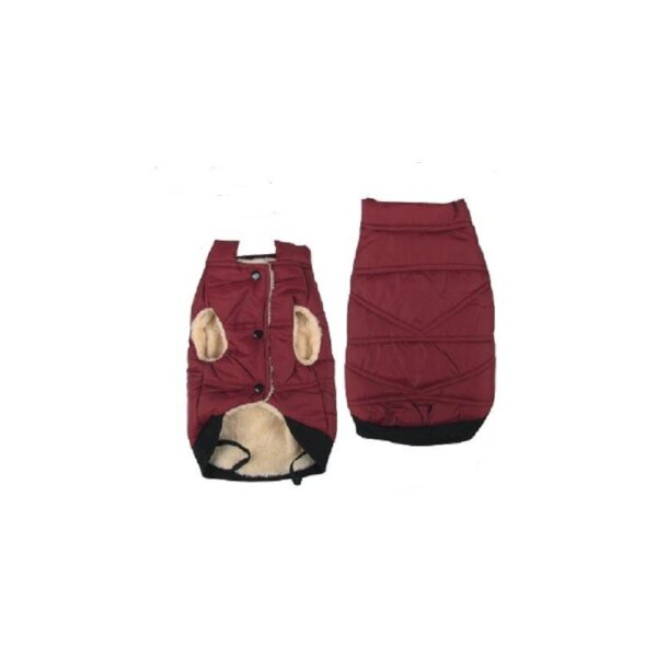 Jacheta imblanita & capison Bordo - NR 30