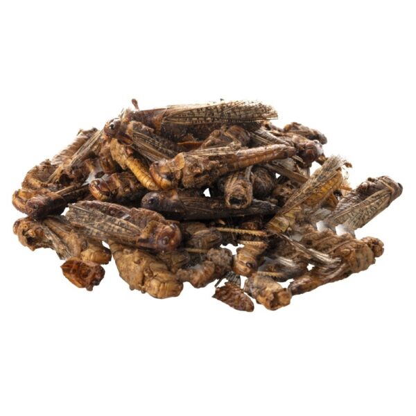 Lacuste uscate 65 g/500 ml