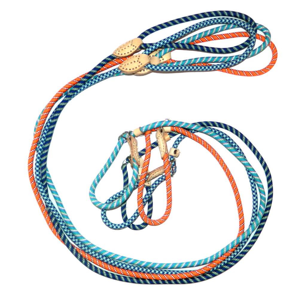 lesa-cordelina-cu-zgarda-reglabila-12-mm145-m lesa cordelina cu zgarda reglabila 12 mm145 m