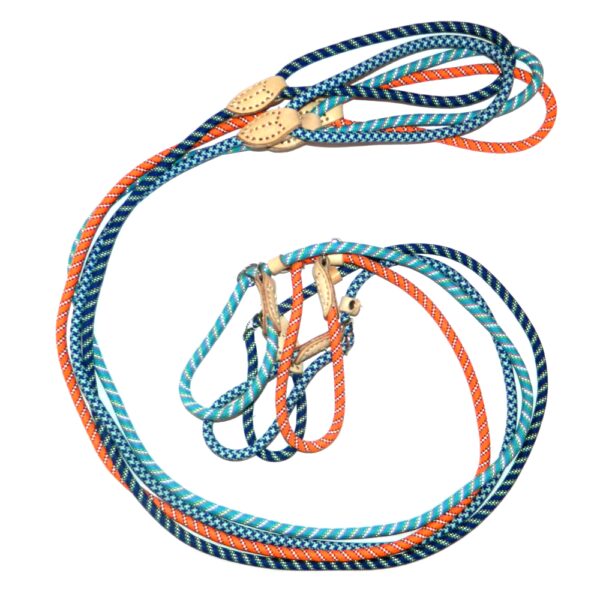 Lesa cordelina cu zgarda reglabila 8 mm/1,45 m