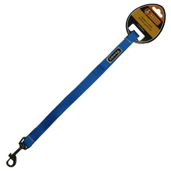 Lesa textila 25 mm/1,2 m albastru