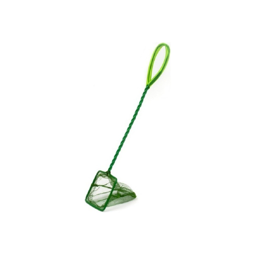 minciog-verde-32-cm minciog verde 32 cm