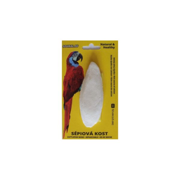 os sepie 12 cm