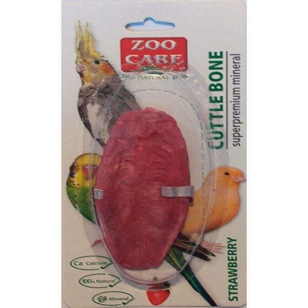 os sepie zoo care capsuni 9 10 cm