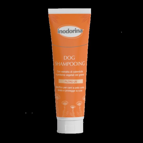 Sampon pt par scurt Inodorina 250 ml
