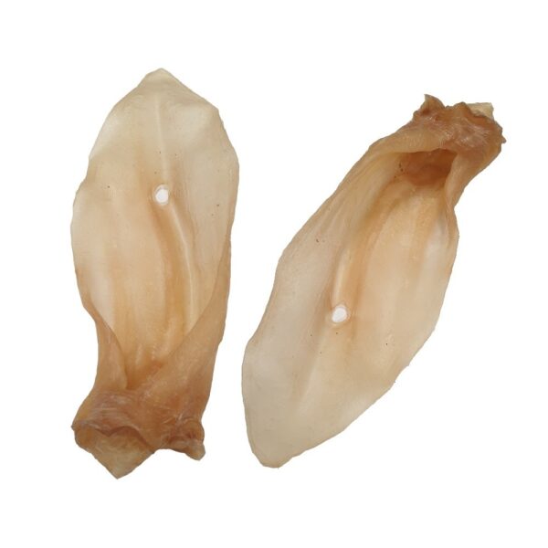 ureche naturala de oaie