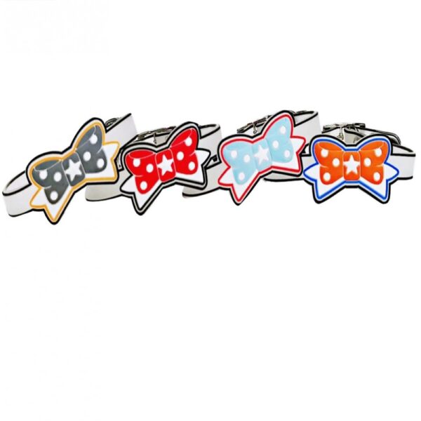zgarda fancy cu fundita color 1 cm30 cm